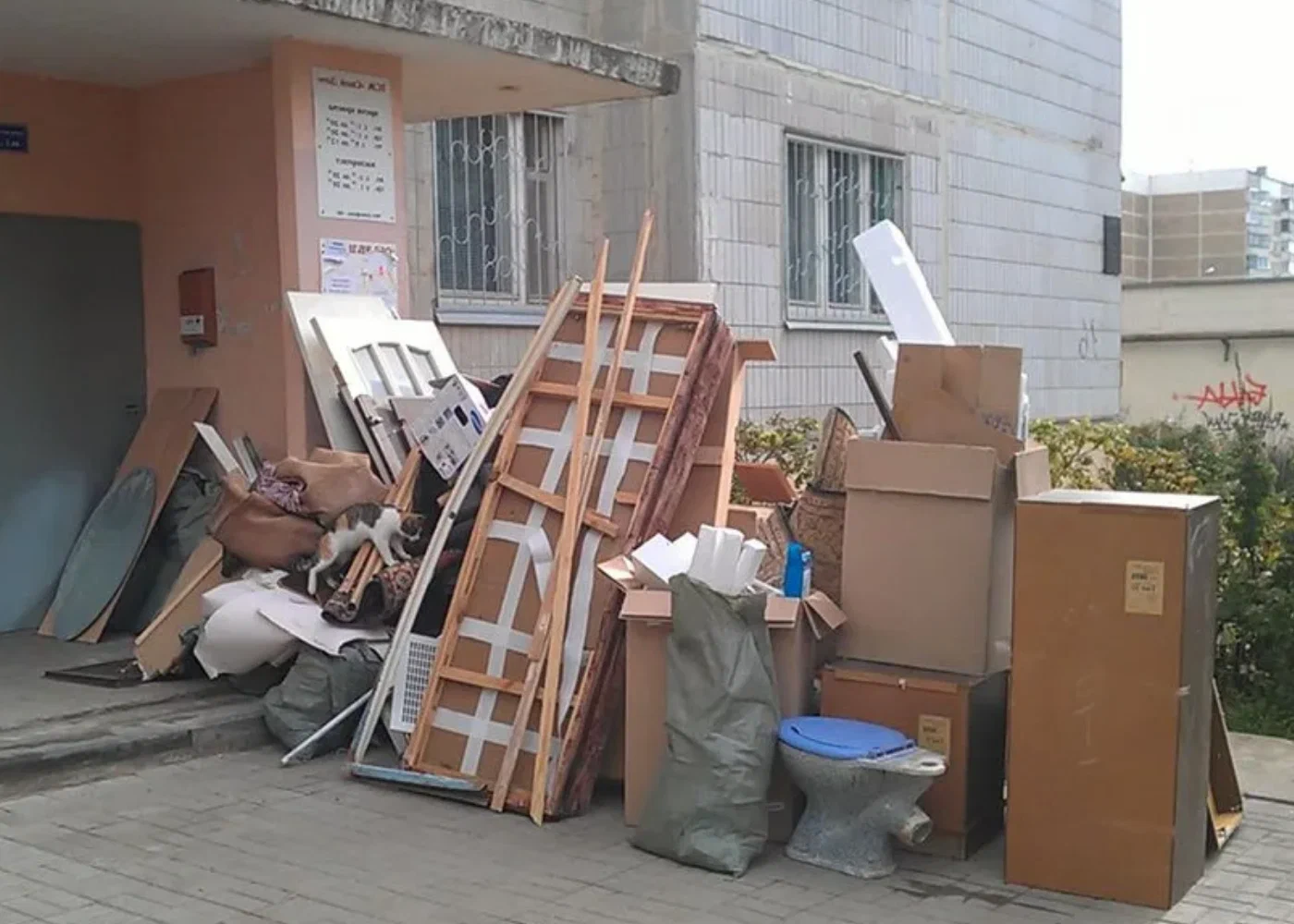 Профессиональный вывоз мусора из квартиры в Пензе в октябре