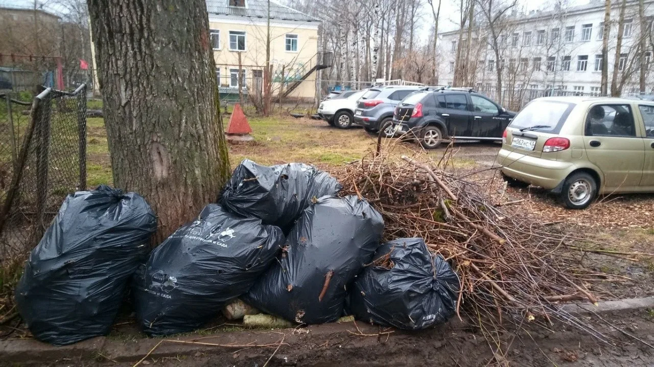 Вывоз мусора после субботника в Пензе от ПроМусор-Пнз – уборка и утилизация отходов от 2412 руб