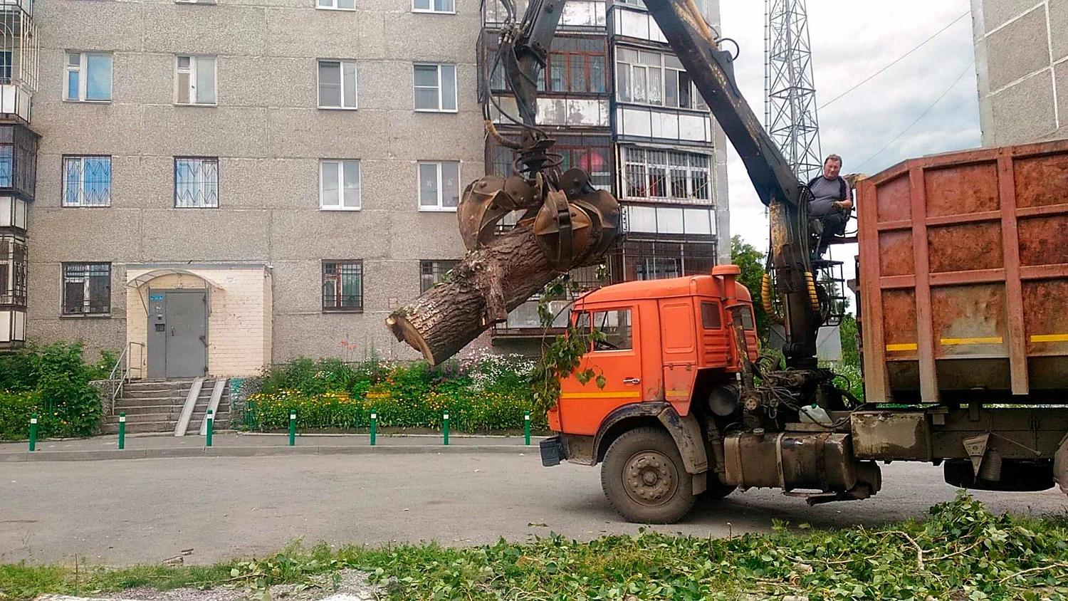 Вывоз спиленных веток и деревьев в Пензе от ПроМусор-Пнз: порубочные остатки, утилизация, цена от 2977 руб