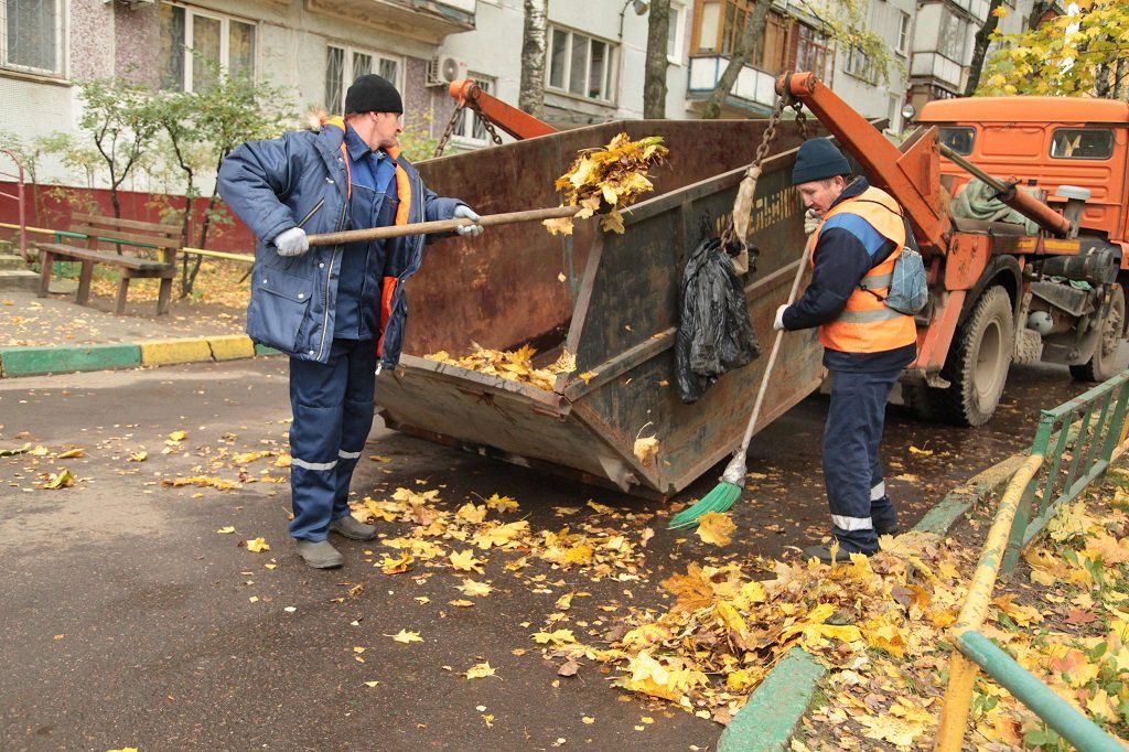 Вывоз опавшей листвы и растительного мусора в Пензе от ПроМусор-Пнз – цена от 4619 руб., быстрая уборка и утилизация